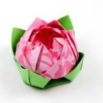Hướng dẫn gấp hoa sen bằng giấy hồng  phong cách Origami