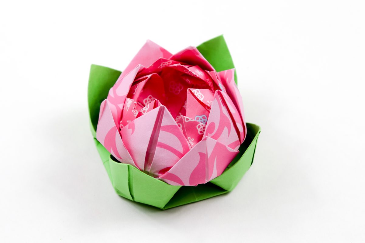 Hướng dẫn gấp hoa sen bằng giấy hồng phong cách Origami